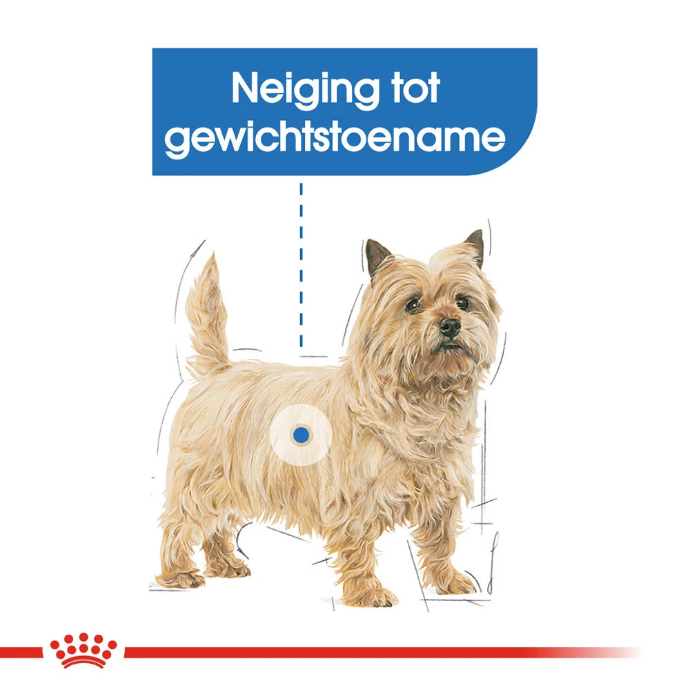 Royal Canin Light Weight Care Wet - Hondenvoer - Afbeelding 4