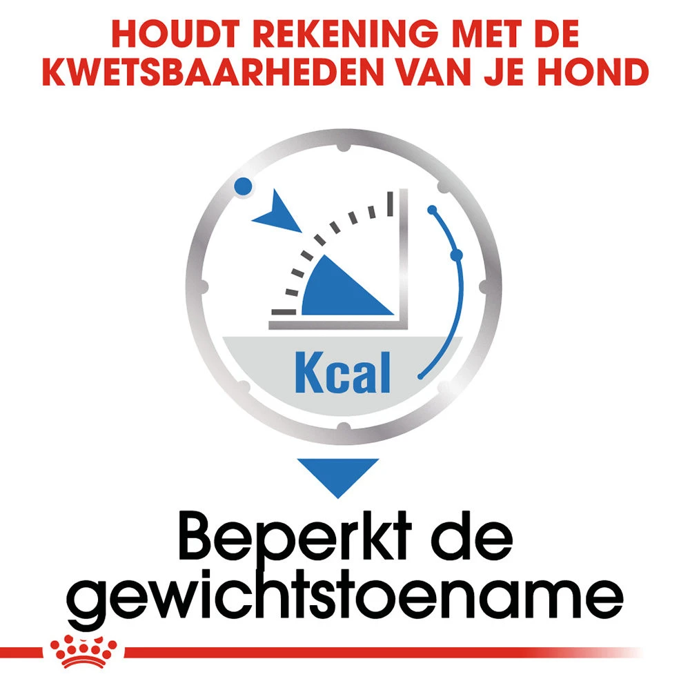 Royal Canin Light Weight Care Wet - Hondenvoer - Afbeelding 6