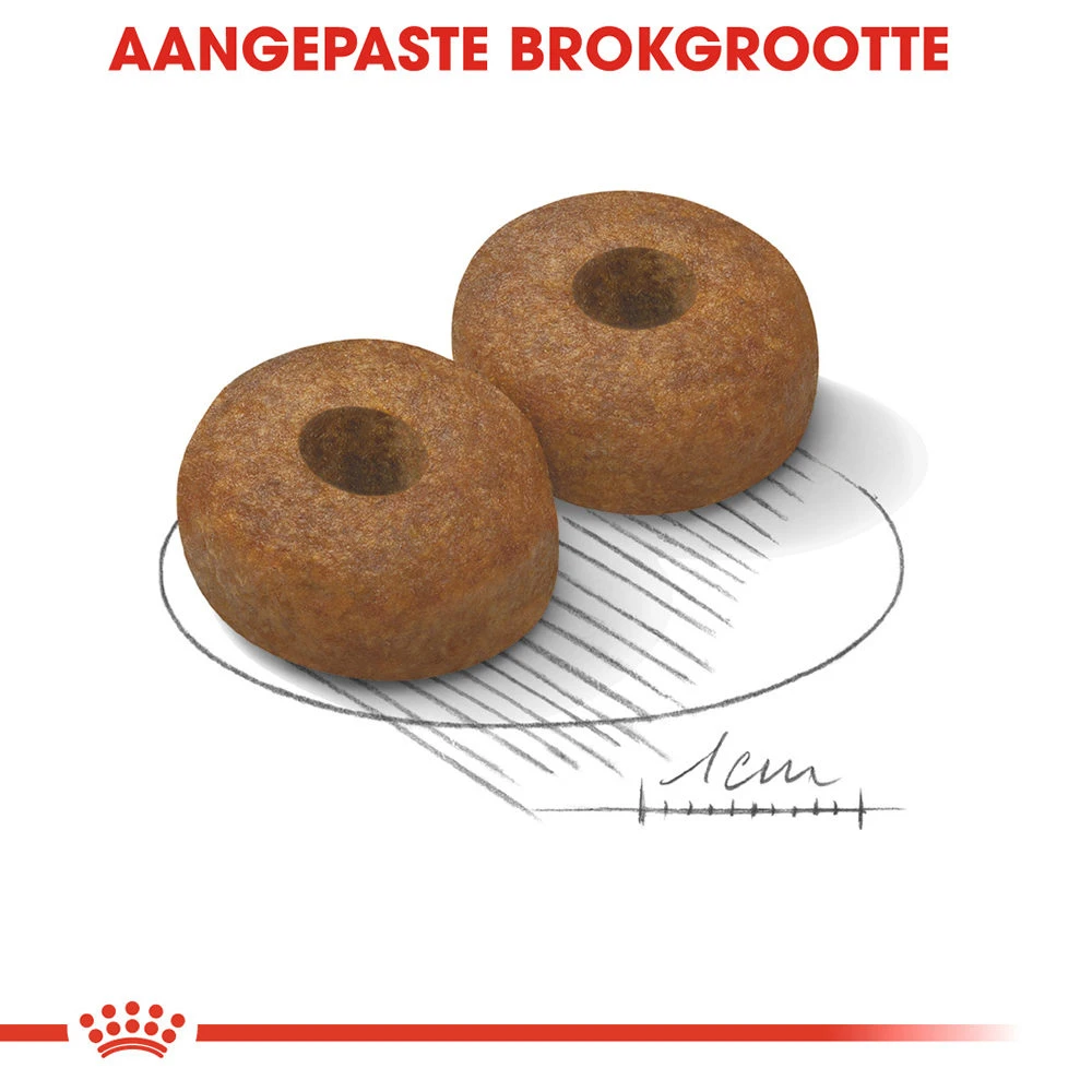 Royal Canin Maxi Ageing 8+ - Hondenvoer - Afbeelding 7