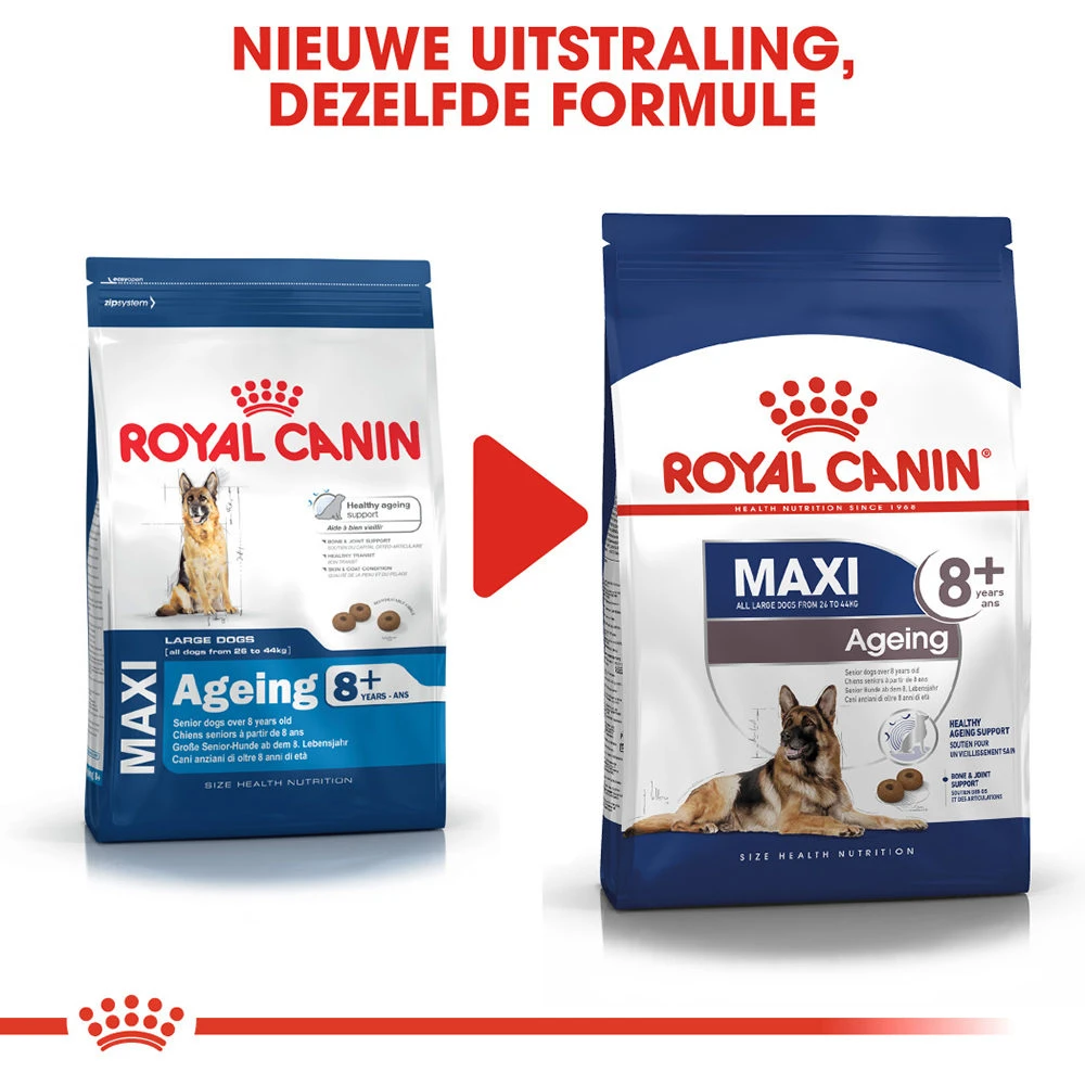 Royal Canin Maxi Ageing 8+ - Hondenvoer - Afbeelding 8