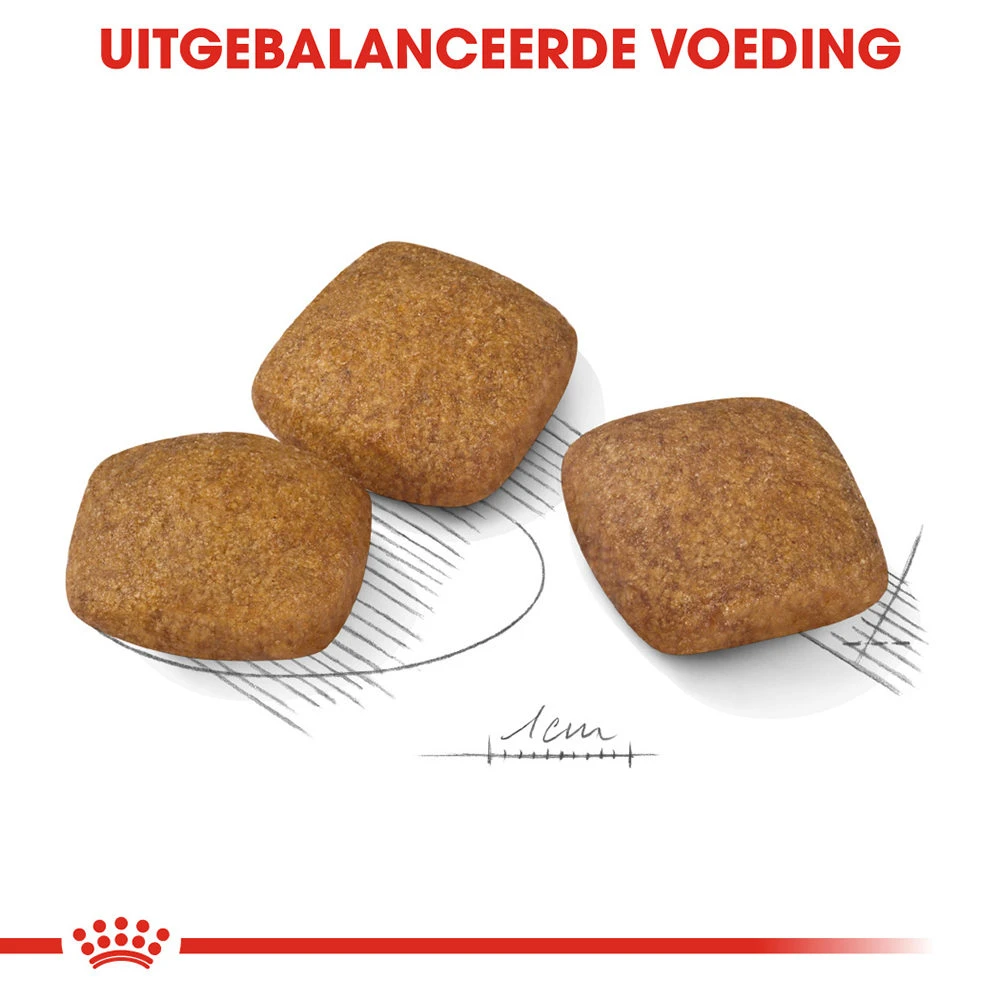 Royal Canin Maxi Relax Care - Hondenvoer - Afbeelding 5