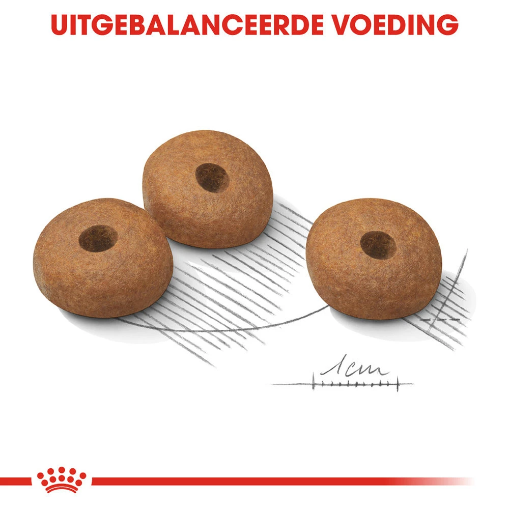 Royal Canin Medium Light Weight Care - Hondenvoer - Afbeelding 6