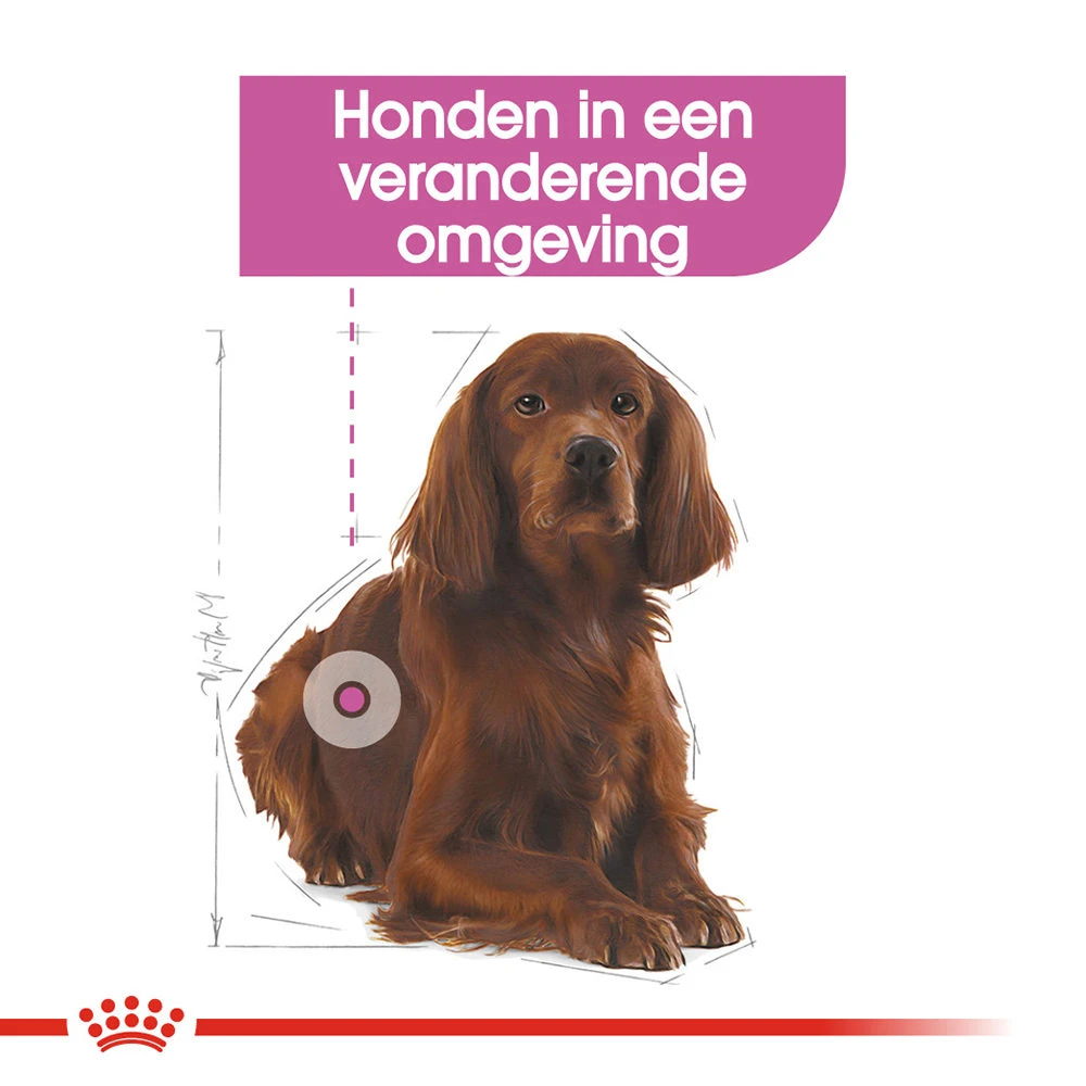 Royal Canin Medium Relax Care - Hondenvoer - Afbeelding 5