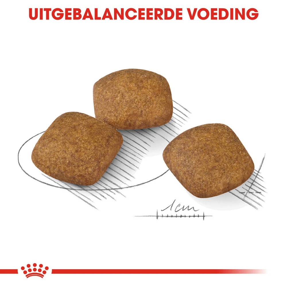 Royal Canin Medium Relax Care - Hondenvoer - Afbeelding 6