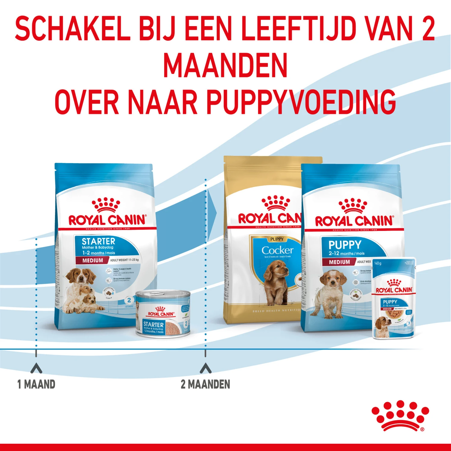 Royal Canin Medium Starter Mother & Babydog - Hondenvoer - Afbeelding 9