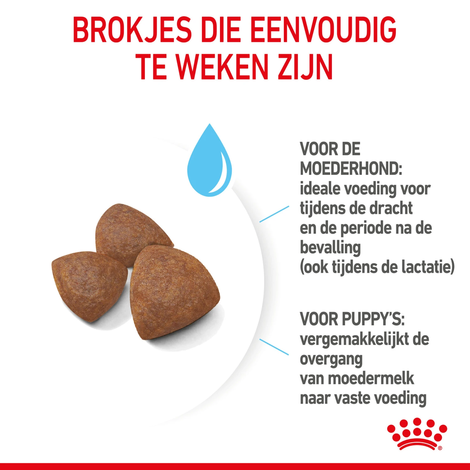 Royal Canin Medium Starter Mother & Babydog - Hondenvoer - Afbeelding 7