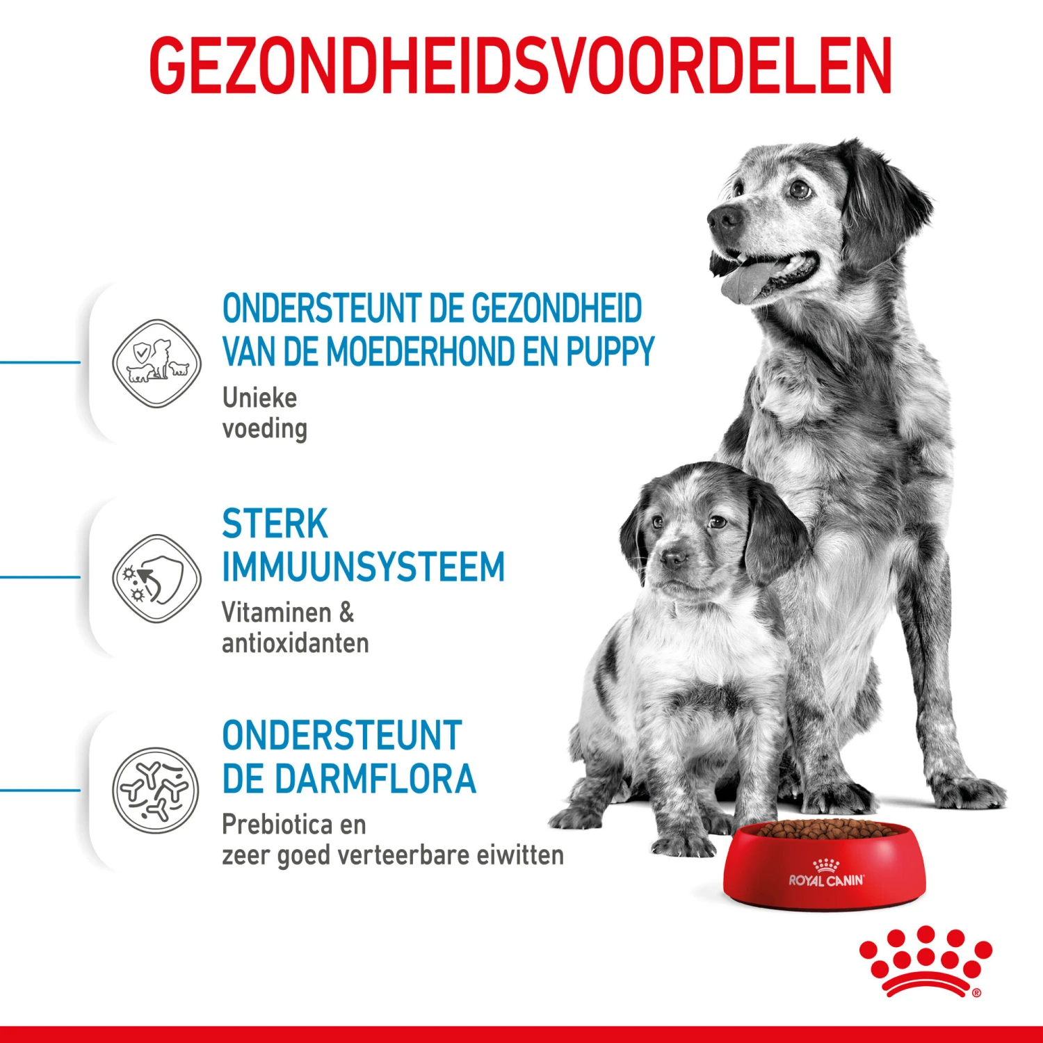 Royal Canin Medium Starter Mother & Babydog - Hondenvoer - Afbeelding 6