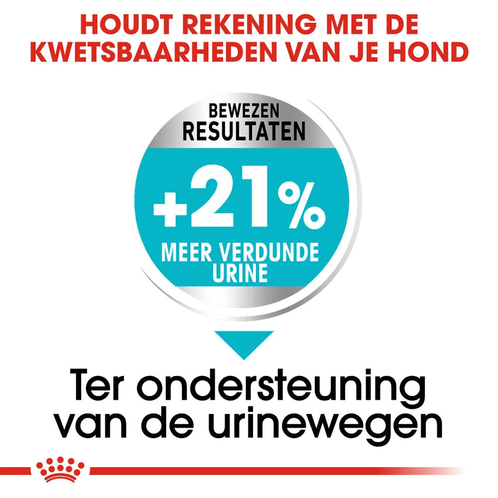 Royal Canin Mini Urinary Care - Hondenvoer - Afbeelding 8