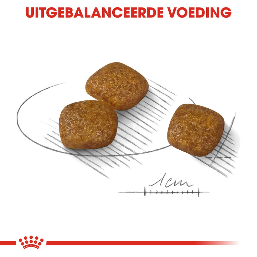 Royal Canin Mini Urinary Care - Hondenvoer - Afbeelding 7