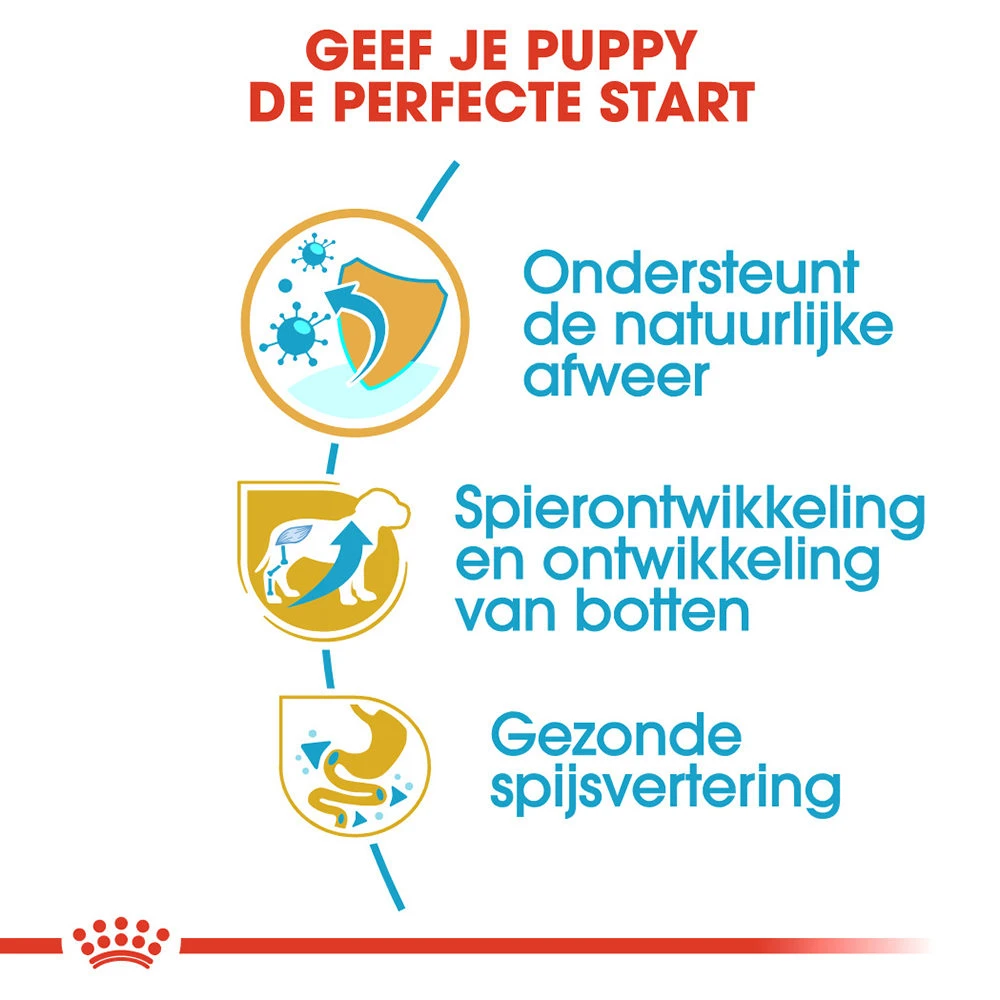 Royal Canin Rottweiler Puppy - Hondenvoer - Afbeelding 4