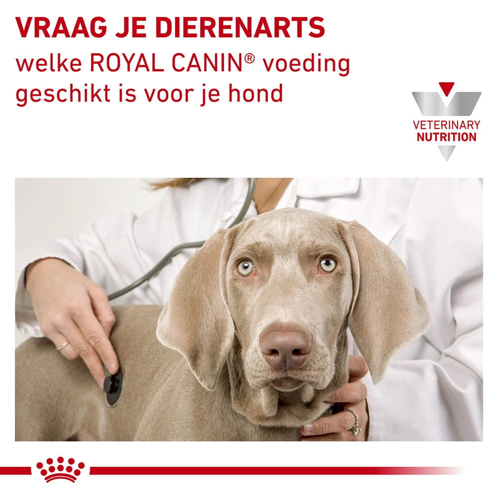 Royal Canin Urinary S/O Ageing 7+ Hond - Afbeelding 11
