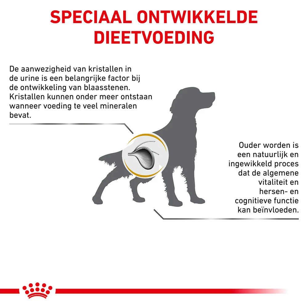 Royal Canin Urinary S/O Ageing 7+ Hond - Afbeelding 6