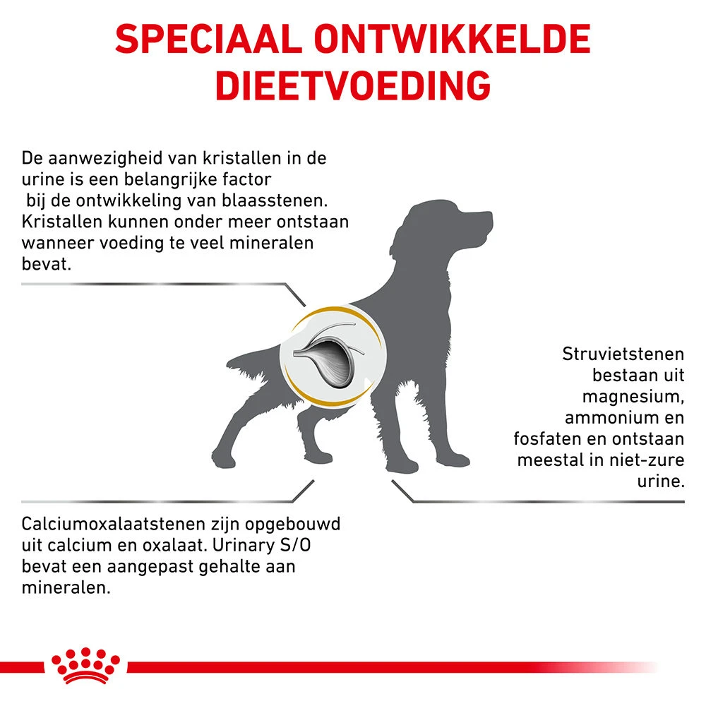 Royal Canin Urinary S/O Hond - Blik - Afbeelding 6