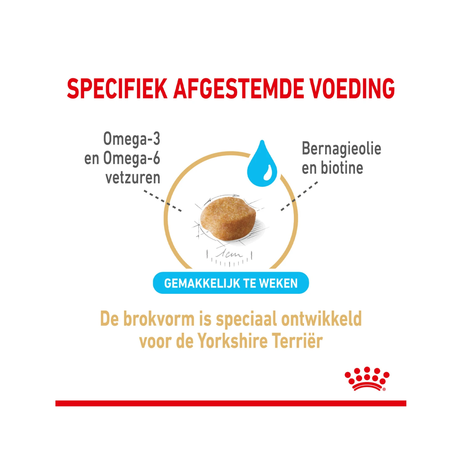 Royal Canin Yorkshire Terriër Adult 8+ - Afbeelding 6