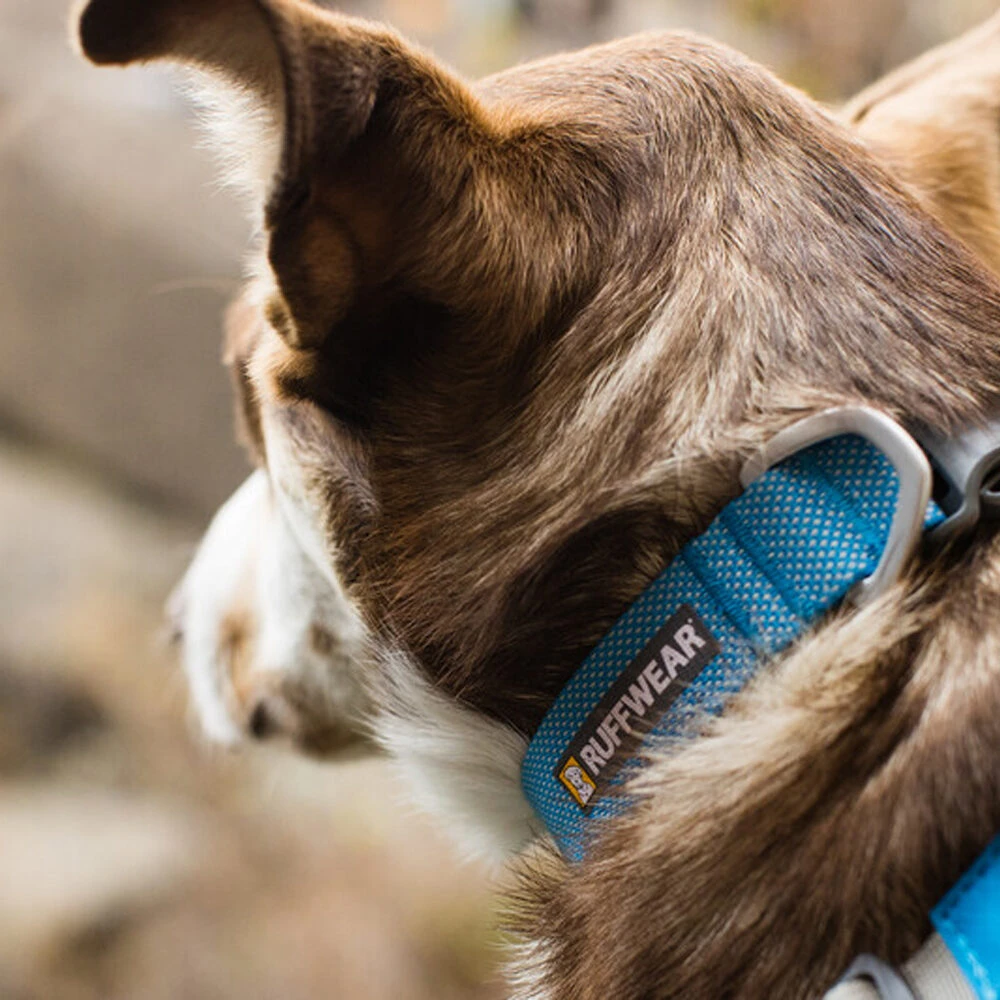 Ruffwear Hi & Light Collar - Afbeelding 15