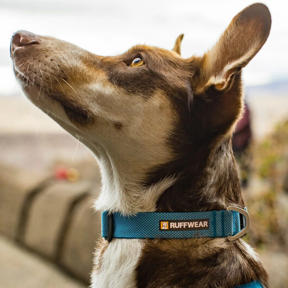 Ruffwear Hi & Light Collar - Afbeelding 16