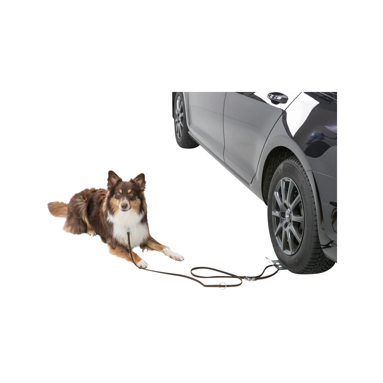 Trixie Oprijplaat Auto - Afbeelding 2